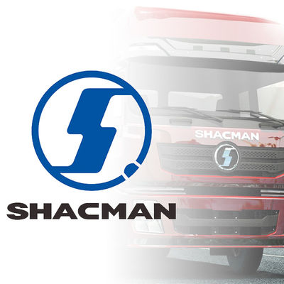 Εξωτερικά εξαρτήματα καμπίνας φορτηγού Shacman Φώτα προβολέων Προφυλακτήρες Πίνακες οπίσθια καθρέφτες